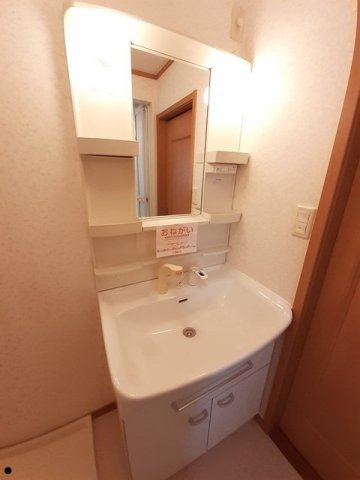グリーンパレスの洗面所