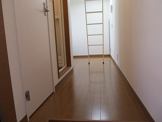 グレースミーナのその他
