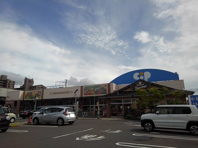 ローフィルドの周辺|コープ宇多津店まで600m