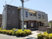 ブライトメアリーⅠの画像