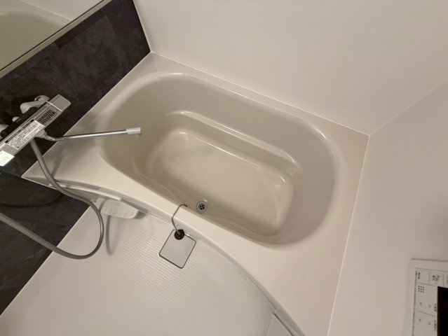ルフォンプログレ南森町の浴室