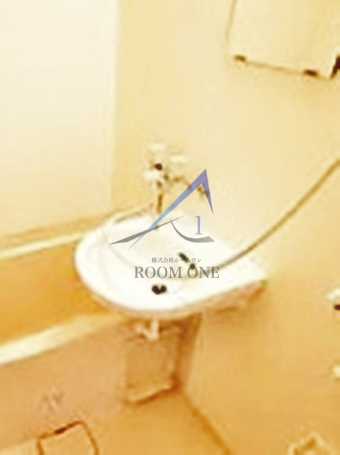 目黒フラワーハイホームの洗面所|洗面台です。