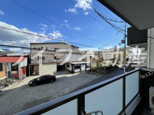 FasciaCitrineの展望