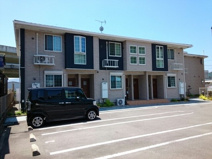 ベリーリーフの画像