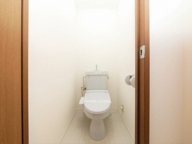 大阪市西区新町１丁目の賃貸マンションのトイレ