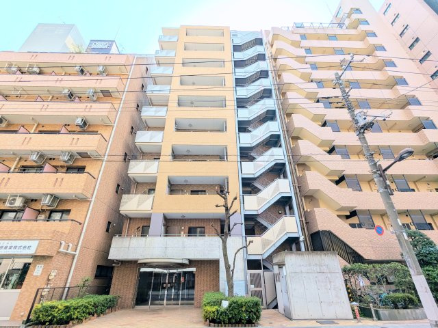 ネバーランド上野松が谷