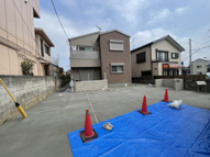 Island Cottonの画像