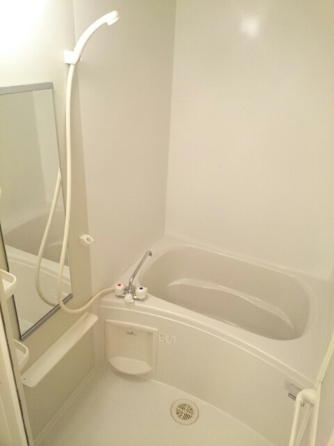 フランＳＹの浴室