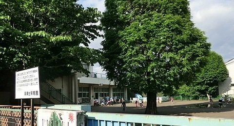 ネオ・ホープの周辺|相模原市立麻溝台保育園まで650m