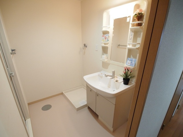ラフォーレ三郷弐番館の洗面所