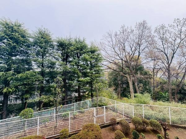ディアパーク宮前平のその他|バルコニーからの眺望です！