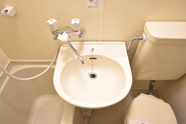 ハイムパルナインの洗面所