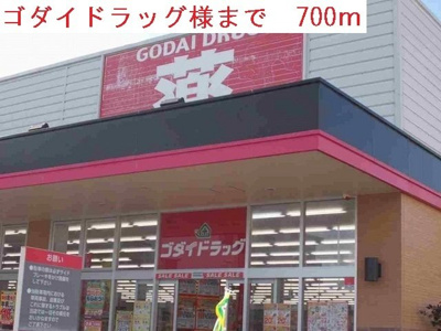 【周辺】 | リオン | ゴダイドラッグまで700m