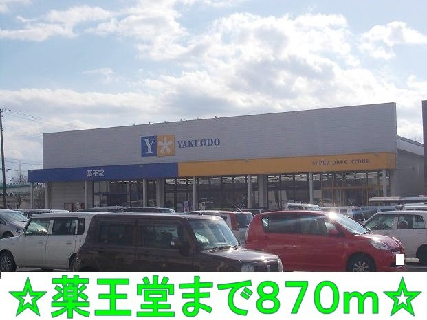 アーバンプレイスⅠの周辺|薬王堂まで870m