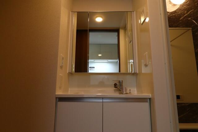 グラナーデ新宿の洗面所