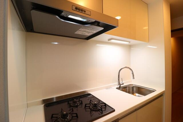 グラナーデ新宿のキッチン