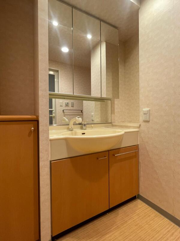 グランプレイズ宝塚南口の洗面所|スペースが確保できる洗面所です