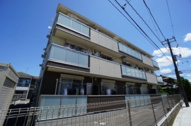 サンフラワーの画像