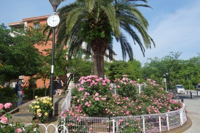 第１竹雪コーポのその他|青和バラ公園