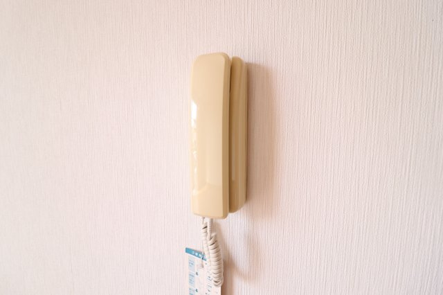 ハイム岩崎Ⅱのセキュリティ