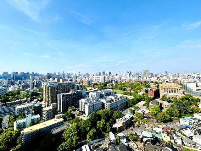 ルネッサンスタワー上野池之端の展望|眺望