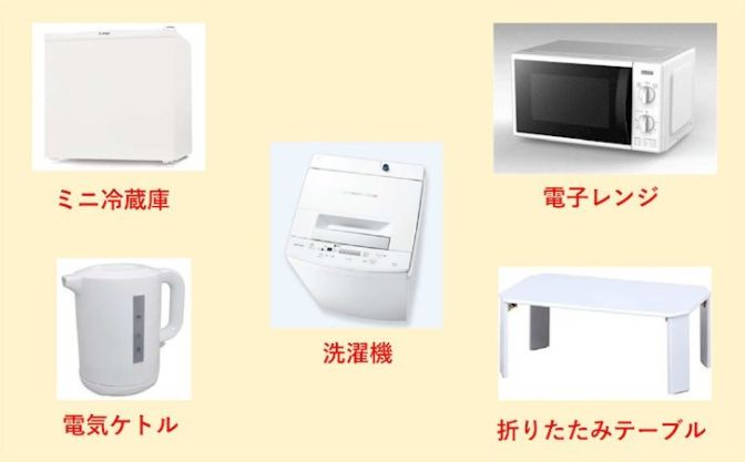 ソフィアシナモンのその他