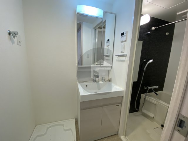 S-RESIDENCE高井田Centralの独立洗面台