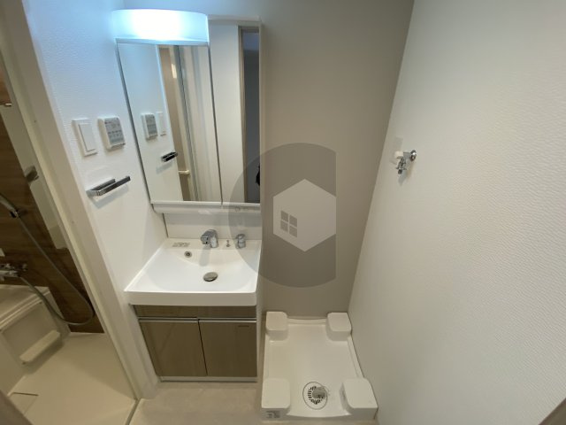 S-RESIDENCE高井田beletaの洗面所