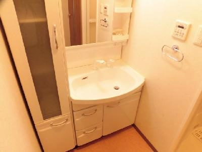 ビクトワール西大路御池の独立洗面台|シャンプードレッサー