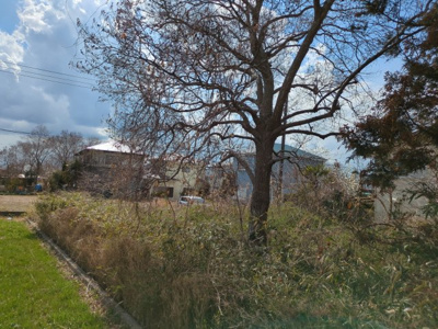 【外観】 | 大網白里市南横川　土地