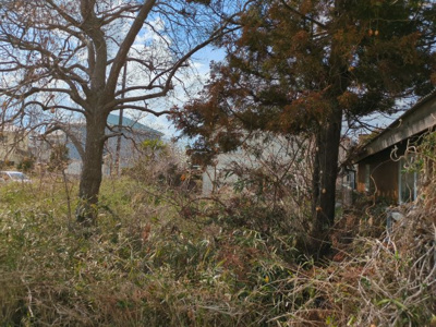 【周辺】 | 大網白里市南横川　土地