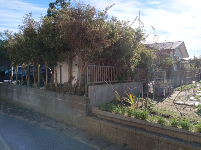 【前面道路含む現地写真】 | 山武市松ケ谷ロ　平屋中古戸建 | 前面道路含む現地写真です