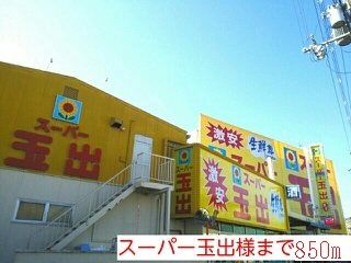 オールドウェルの周辺|スーパー玉出様まで850m