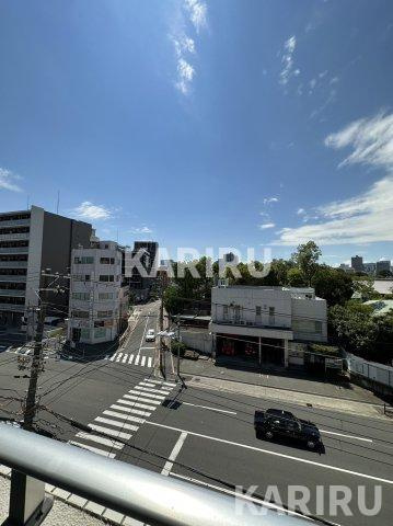 セイワパレス大阪城北の展望