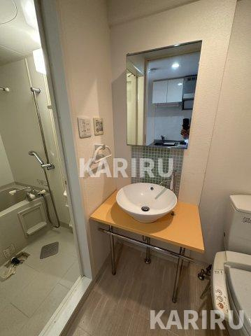 セイワパレス大阪城北の洗面所