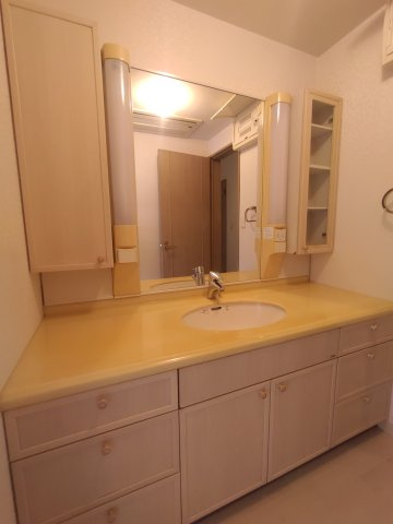 野田様貸家の洗面所