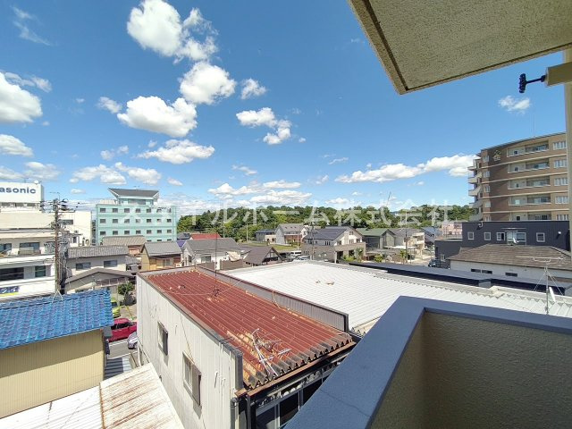sarasota　ROWAの周辺