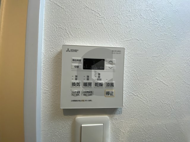 F asecia Nobiltaのその他