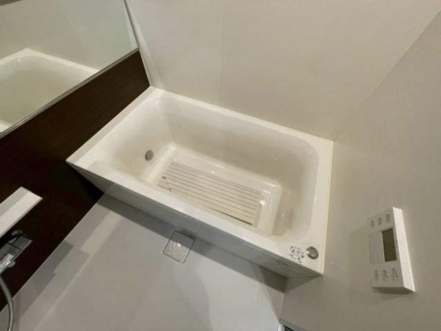 レジディア堺筋本町プレイスの浴室