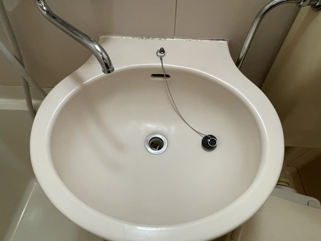 パルデンス自由ヶ丘の洗面所