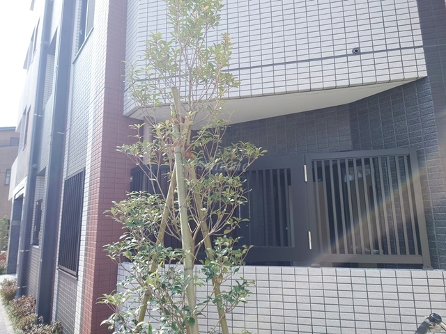 ラフィスタ赤羽のその他|緑があって癒されますね☆