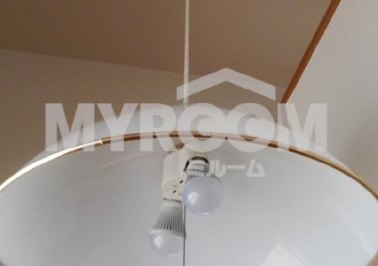 ライフピアプランタンの設備|照明（同一仕様写真）