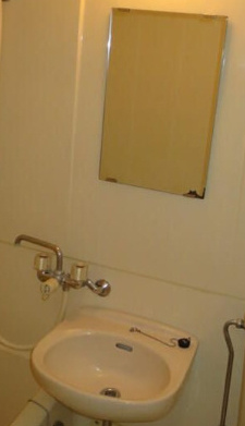 シェソワウィンⅡの洗面所