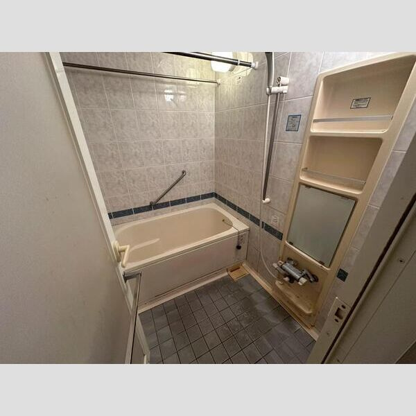 中山パーク・ホームズ丘の街の浴室