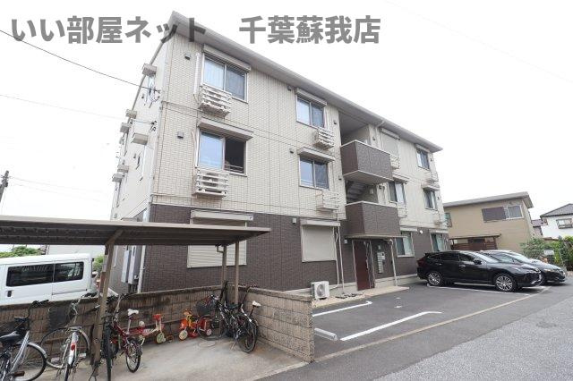 サンフラワー