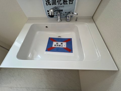 あきる野市伊奈　新築戸建全15棟の洗面所|暮らしを快適に変えるシャワー付洗面台