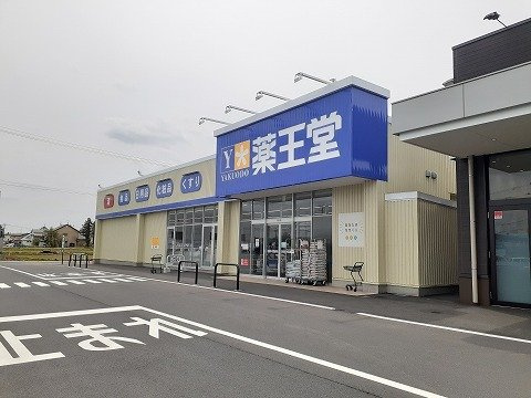 クオーレ彩Ⅰの周辺|薬王堂　SC水沢店まで850m