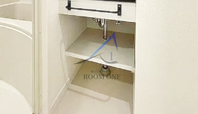 ライオンズマンション本駒込第２の洗面所|洗面台です。