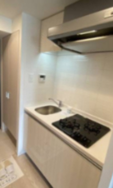 M-RESIDENCE新大阪Gardenのキッチン