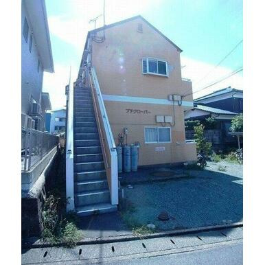 プチクローバー